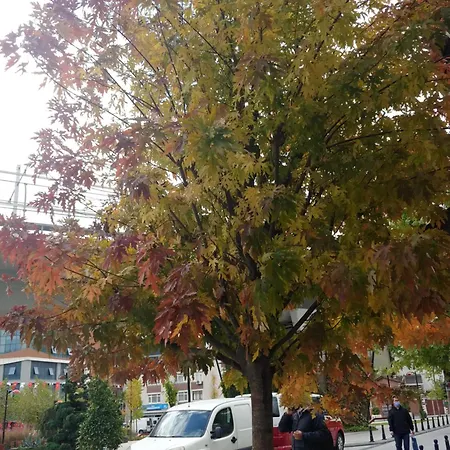 Canpi Homes Istanboel