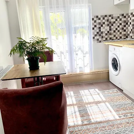 Apartament Canpi Homes *